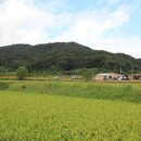 신사리 선돌 이미지