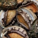 완도참전복 이미지