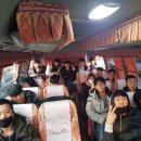 용원합기도 | 제1회 사천오픈주짓수챔피언쉽//순천머스탱주짓수 출전후기