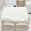 레인캔넬 | 고양이이동장 추천 네이버펫 구루구루 위고백 벤티 뚱냥이도 OK