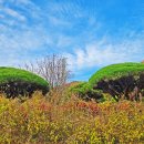 운문골마실길 이미지