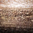 제주 김녕굴 및 만장굴 이미지