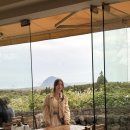 새동네목장 | 제주 위이 wiee, 카페 로비 제주 신상 카페