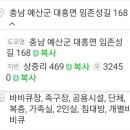 봉수산숲펜션 - 35145 | 봉수산숲펜션