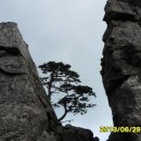 삼정마을 이미지