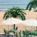 포레스트오션 | [경북 포항] 아우로라 카페, 오션뷰 대형카페 추천(슬로우오션·유채꽃 필수코스)☕