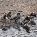 중랑천 만남의 광장 이미지