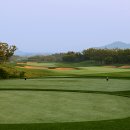 TOP스크린골프