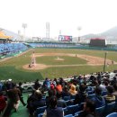 한밭야구장 이미지