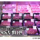 목동투뿔나인