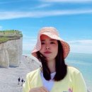 세븐브릿지호텔 네이버블로그