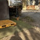 전북제사 1970 데프콘1 이미지