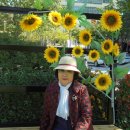 스파텔호텔 이미지