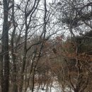 오덕 2리 | (2/1,토,11:56~14:24) 경주 단석산