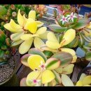 해림농장 이미지