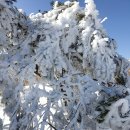 지내마을경로당 이미지