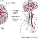 드림한의원 이미지