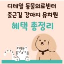 출근길 강아지 유치원 네이버블로그