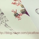 피카앤코 이미지