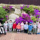 마전 제1호공원 이미지