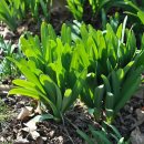 새싹공원 이미지