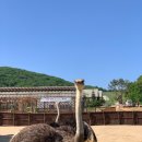 수근목장 네이버블로그