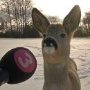 그림으로 한권에 담는 나의 여행 그림 일기 | 아무것도 안 하면 불안하지 않아?