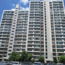 분당-309 이미지