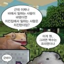 11월의뜨개