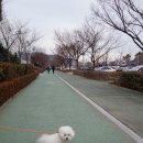 스포원파크가족산책공원 네이버블로그