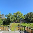 조이민박 이미지