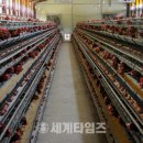 남용농장 네이버블로그