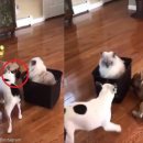 우리마차 이미지