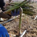 은이농장 이미지