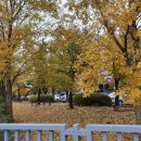 평택 법원 앞 버스정류소 이미지