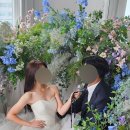 폴댄스 입문 1년 후기 운동 효과 근력 및 유연성 취미 운동 추천