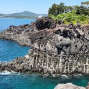 제주 올레길 8코스 이미지