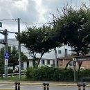 영중체육문화센터 이미지