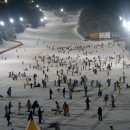 양지파인리조트 이미지