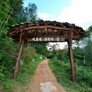 평창아름다운세상 이미지