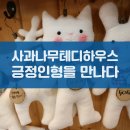 전주 한옥마을 사과나무테디하우스에서 긍정 인형을 만나다