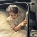 로젤리스냅