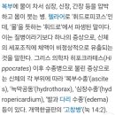 휘도르