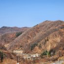 좌구산휴양림 명상의집 | [웰니스 in 충북]증평 좌구산 자연휴양림 명상의 집 출렁다리 원데이투어