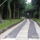 자연에 품 이미지