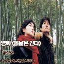 초원본가 | 봄날은 간다 영화 후기 줄거리 결말 명대사 아름답게 사랑을 지우다