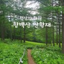 100204 태백산권 [45] 함백산 이미지