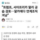 트럼프, 서아프리카 말리 공습 검토...알카에다 연계조직 겨냥 이미지