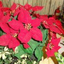 신바람 모텔 이미지