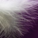 올바른안마원 이미지